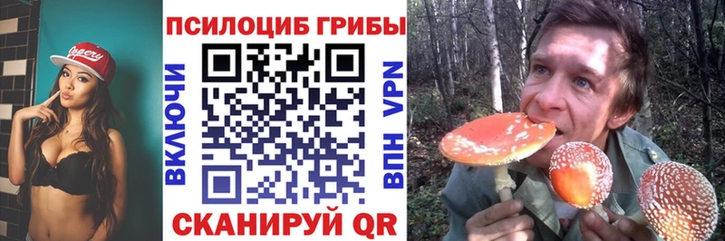kraken онион  где можно купить   Лермонтов  Галлюциногенные грибы MAGIC MUSHROOMS 